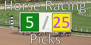 Read more about the article Horse Racing Picks 5/25/20 | Computer Model Picks