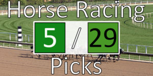 Read more about the article Horse Racing Picks 5/29/20 | Computer Model Picks