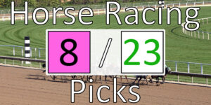 Read more about the article Horse Racing Picks 8/23/20 | Computer Model Picks