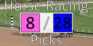 Read more about the article Horse Racing Picks 8/28/20 | Computer Model Picks
