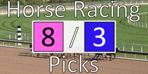 Read more about the article Horse Racing Picks 8/3/20 | Computer Model Picks