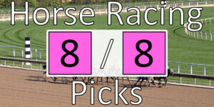 Read more about the article Horse Racing Picks 8/8/20 | Computer Model Picks