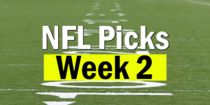 Read more about the article NFL Week 2 Picks 2020 | Computer Model Picks