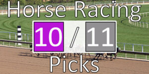 Read more about the article Horse Racing Picks 10/11/20 | Computer Model Picks