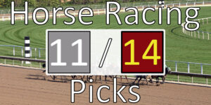 Read more about the article Horse Racing Picks 11/14/20 | Computer Model Picks