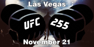 Read more about the article UFC 255 Figueiredo vs Perez Picks | Computer Model Picks