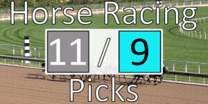 Read more about the article Horse Racing Picks 11/9/20 | Computer Model Picks