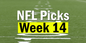Read more about the article NFL Week 14 Picks 2020 | Computer Model Picks