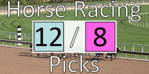 Read more about the article Horse Racing Picks 12/8/20 | Computer Model Picks