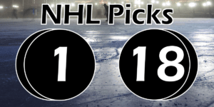 Read more about the article NHL Picks 1/18/21 | Computer Model Picks