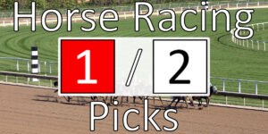 Read more about the article Horse Racing Picks 1/2/21 | Computer Model Picks