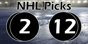 Read more about the article NHL Picks 2/12/21 | Computer Model Picks