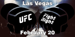 Read more about the article UFC Fight Night Blaydes vs Lewis Picks | Computer Model Picks