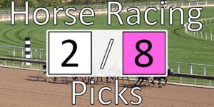 Read more about the article Horse Racing Picks 2/8/21 | Computer Model Picks