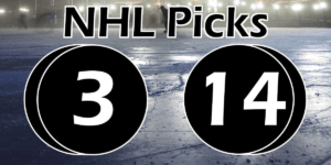 Read more about the article NHL Picks 3/14/21 | Computer Model Picks