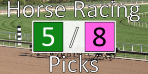 Read more about the article Horse Racing Picks 5/8/21 | Computer Model Picks