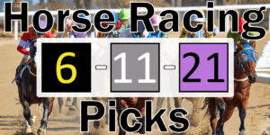 Read more about the article Horse Racing Picks 6/11/21 | Computer Model Picks
