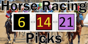 Read more about the article Horse Racing Picks 6/14/21 | Computer Model Picks