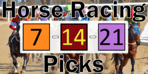 Read more about the article Horse Racing Picks 7/14/21 | Computer Model Picks