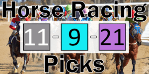 Read more about the article Horse Racing Picks 11/9/21 | Computer Model Picks