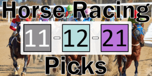 Read more about the article Horse Racing Picks 11/12/21 | Computer Model Picks