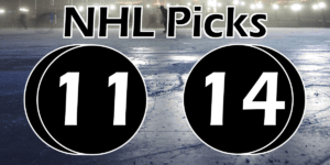 Read more about the article NHL Picks 11/14/21 | Computer Model Picks