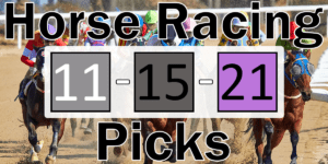 Read more about the article Horse Racing Picks 11/15/21 | Computer Model Picks
