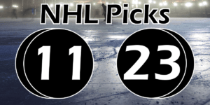 Read more about the article NHL Picks 11/23/21 | Computer Model Picks