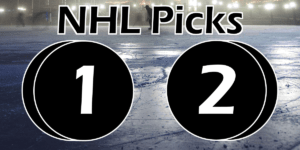 Read more about the article NHL Picks 1/2/22 | Computer Model Picks