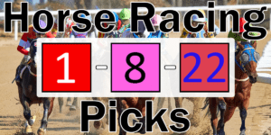 Read more about the article Horse Racing Picks 1/8/22 | Computer Model Picks