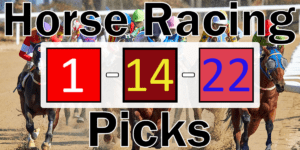 Read more about the article Horse Racing Picks 1/14/22 | Computer Model Picks