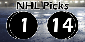 Read more about the article NHL Picks 1/14/22 | Computer Model Picks