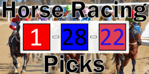 Read more about the article Horse Racing Picks 1/28/22 | Computer Model Picks