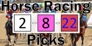 Read more about the article Horse Racing Picks 2/8/22 | Computer Model Picks