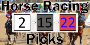 Read more about the article Horse Racing Picks 2/15/22 | Computer Model Picks