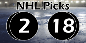 Read more about the article NHL Picks 2/18/22 | Computer Model Picks