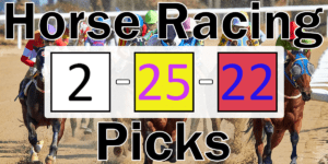 Read more about the article Horse Racing Picks 2/25/22 | Computer Model Picks