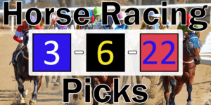 Read more about the article Horse Racing Picks 3/6/22 | Computer Model Picks