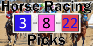 Read more about the article Horse Racing Picks 3/8/22 | Computer Model Picks