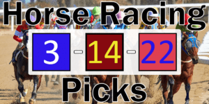 Read more about the article Horse Racing Picks 3/14/22 | Computer Model Picks