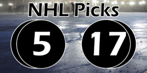 Read more about the article NHL Picks 5/17/22 | Computer Model Picks