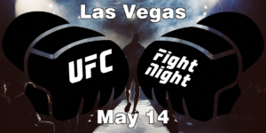 Read more about the article UFC Fight Night Blachowicz vs Rakic Picks | Computer Model Picks