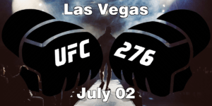 Read more about the article UFC 276 Adesanya vs Cannonier Picks | Computer Model Picks
