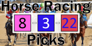 Read more about the article Horse Racing Picks 8/3/22 | Computer Model Picks
