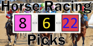 Read more about the article Horse Racing Picks 8/6/22 | Computer Model Picks