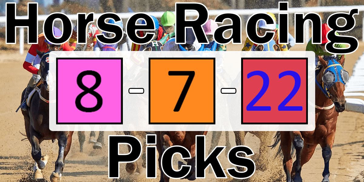 Read more about the article Horse Racing Picks 8/7/22 | Computer Model Picks