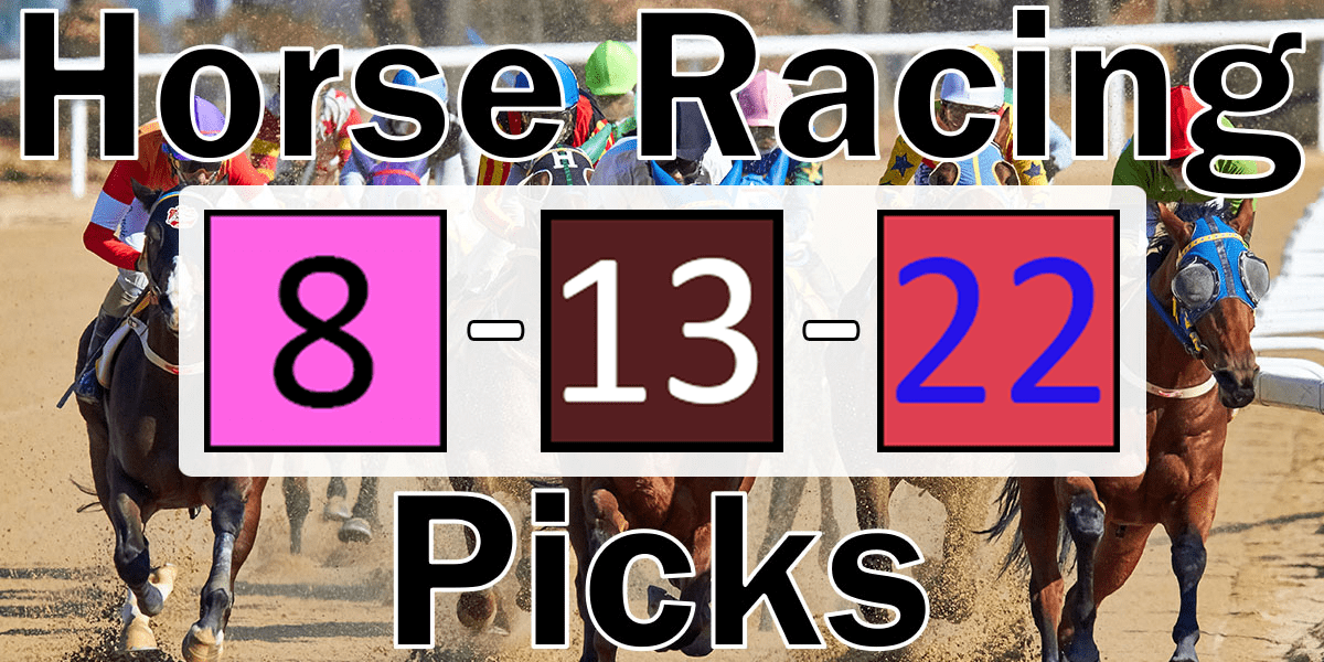 Read more about the article Horse Racing Picks 8/13/22 | Computer Model Picks