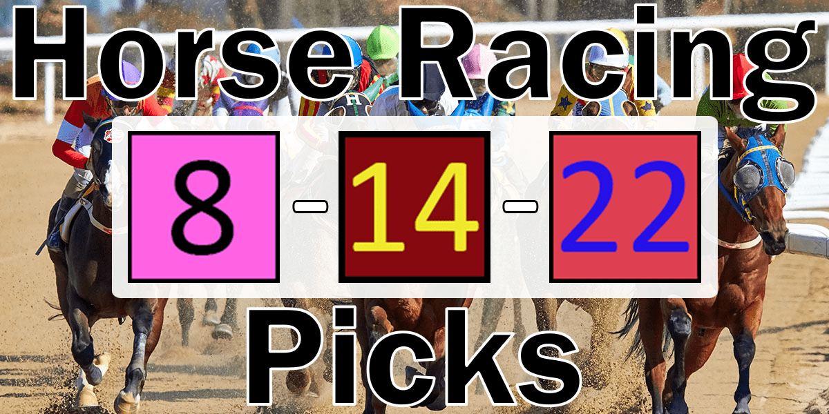 Read more about the article Horse Racing Picks 8/14/22 | Computer Model Picks
