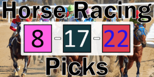Read more about the article Horse Racing Picks 8/17/22 | Computer Model Picks