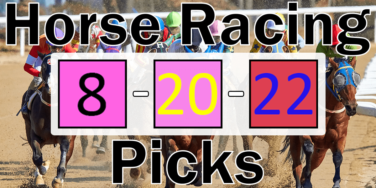 Read more about the article Horse Racing Picks 8/20/22 | Computer Model Picks